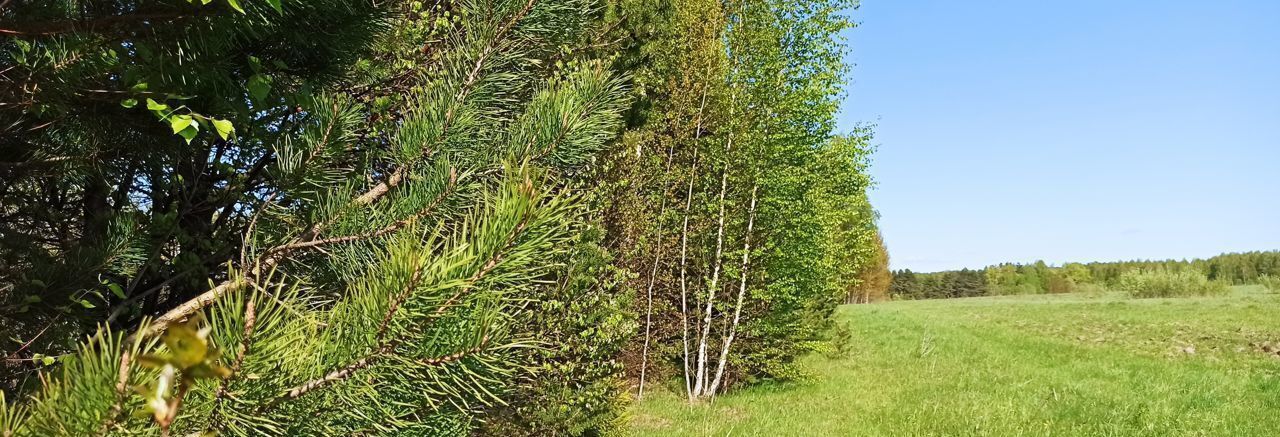 земля городской округ Дмитровский д Ивашево ул Слободская Дмитров фото 8