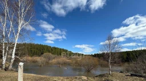 дом г Первоуральск с. Нижнее фото 1