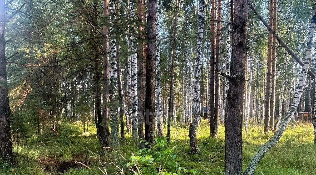 земля г Верхняя Пышма п Кедровое ул. Тихая, 2 фото 14