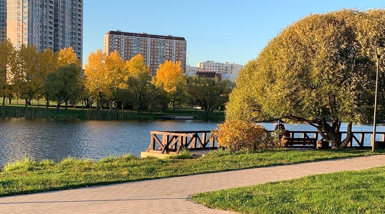 квартира г Москва п Воскресенское метро Бунинская аллея проезд Чечёрский 122к/2 фото 1