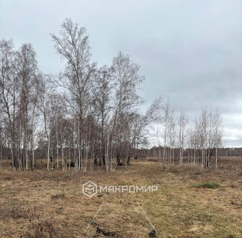 Толмачевский сельсовет фото