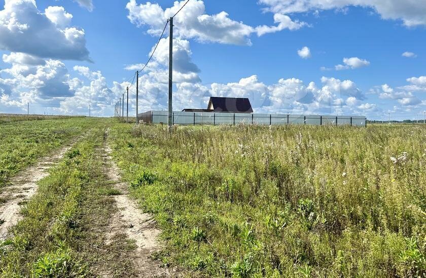 земля Червишевское муниципальное образование фото 1