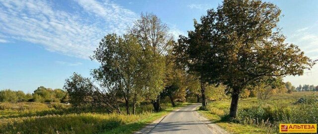 Переславское сельское поселение, Зеленоградский муниципальный округ фото