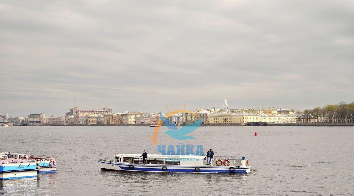 квартира г Санкт-Петербург метро Горьковская ул Куйбышева 32 округ Посадский, Петроградка фото 33