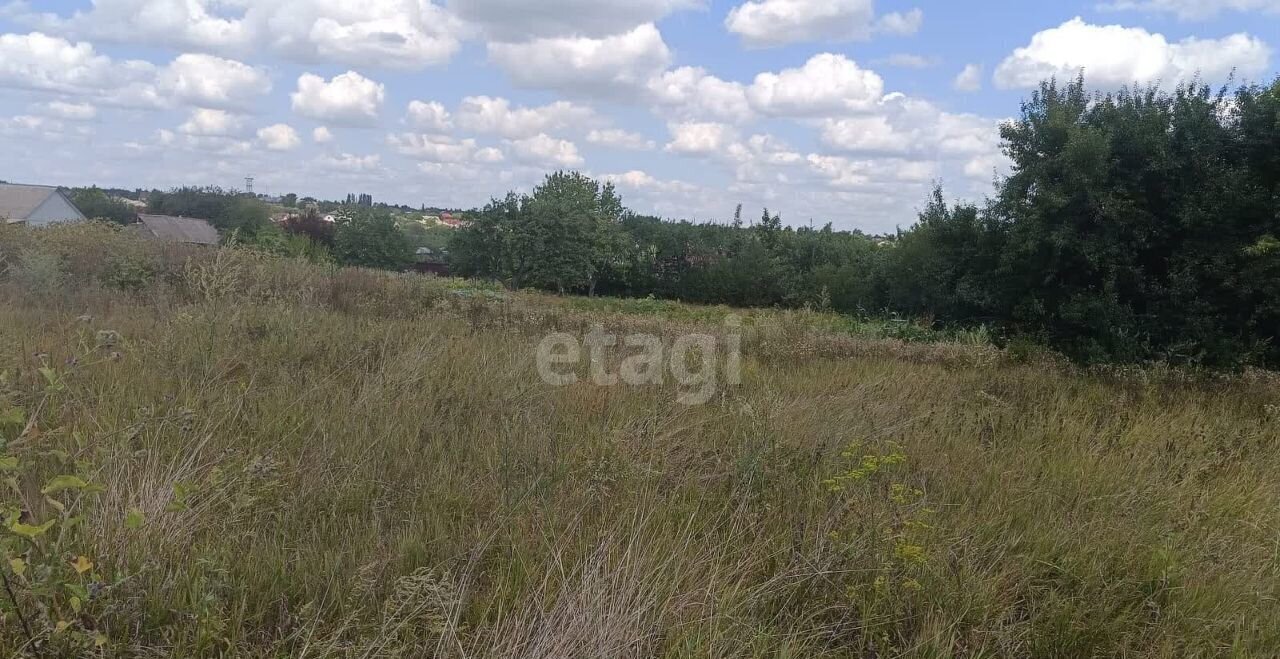 земля р-н Корочанский с Подкопаевка Погореловское сельское поселение, Короча фото 2