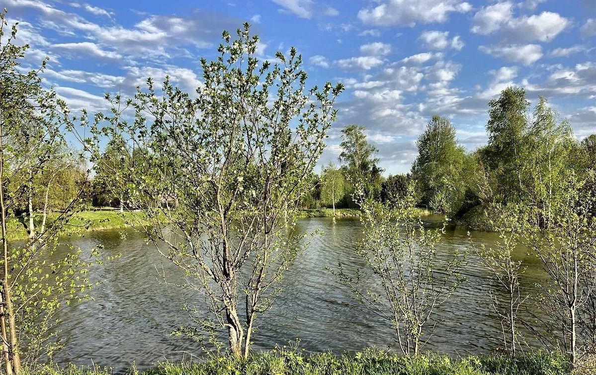 земля городской округ Дмитровский п Подосинки Деденево фото 2