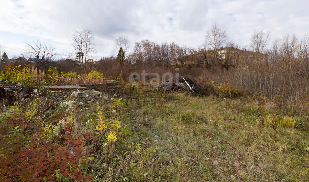 земля г Заводоуковск ул Парковая фото 4