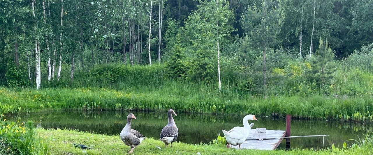 дом р-н Тосненский Форносовское городское поселение, Форносово городской поселок, ш. Павловское, 68 фото 22