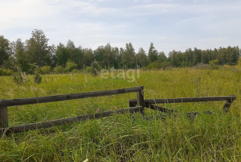 земля р-н Ялуторовский поселок при разъезде Тугарский фото 2