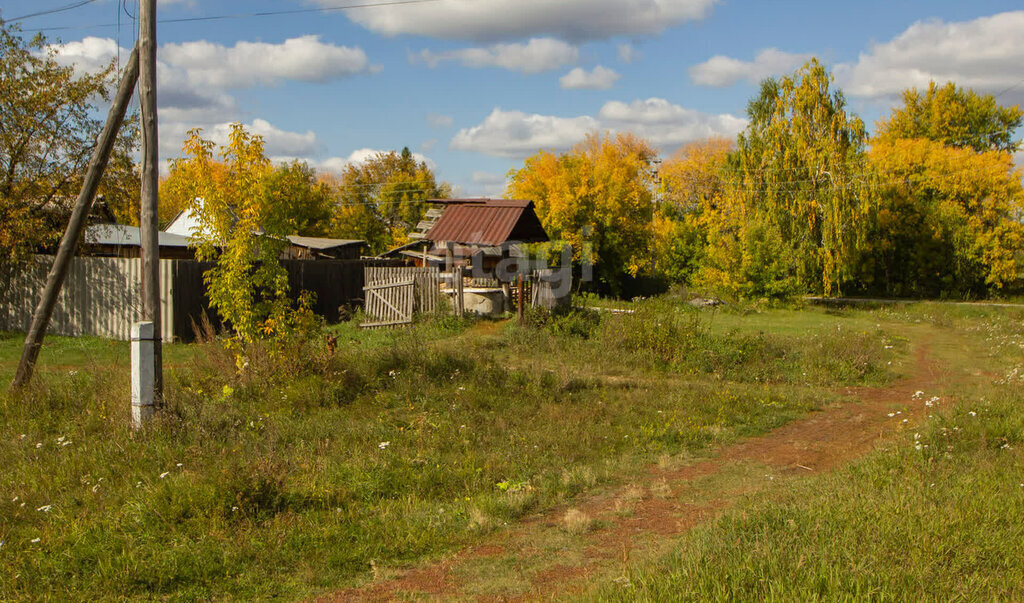 земля г Заводоуковск Село-Завод ул Революционная фото 9