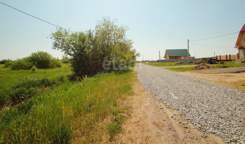 земля р-н Ялуторовский с Хохлово ул Новая фото 5