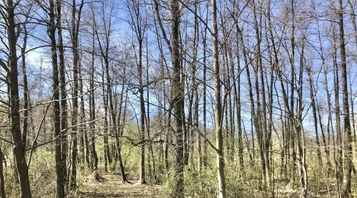 дом городской округ Коломенский с Нижнее Хорошово снт Хорошово Коломна городской округ фото 19