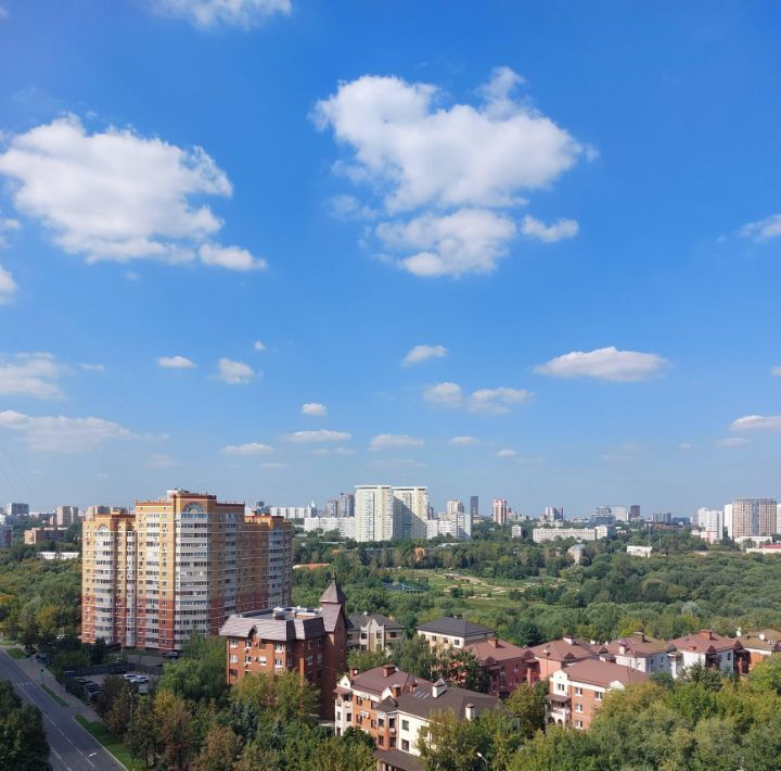 квартира г Москва Давыдково ул Нежинская 21 фото 31