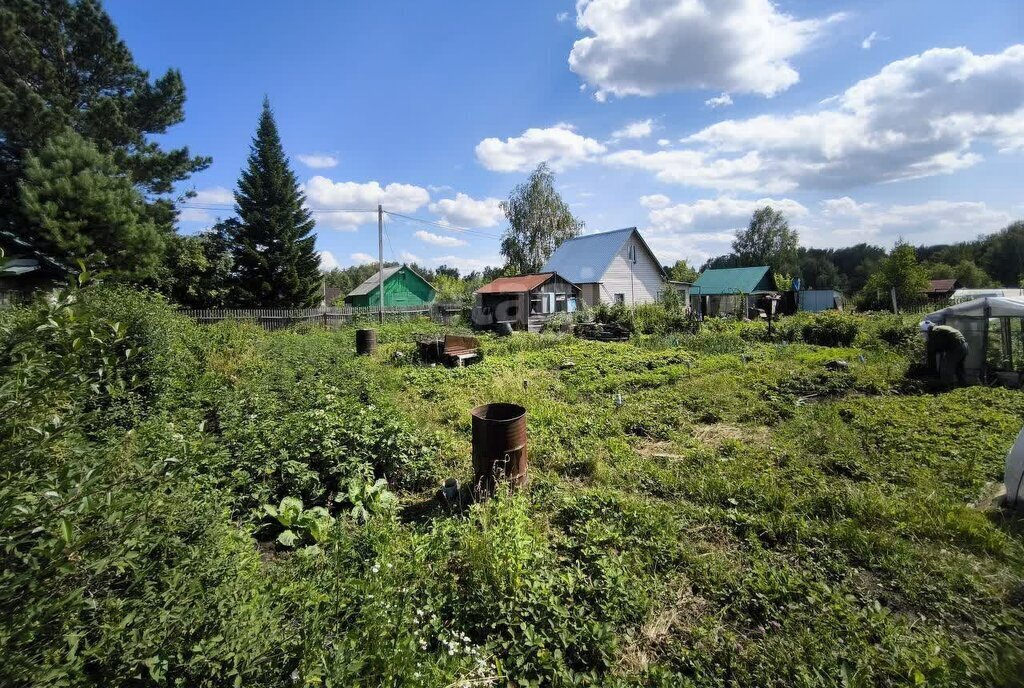 земля г Новосибирск метро Площадь Гарина-Михайловского Раздольненский сельсовет, садовое некоммерческое товарищество Берёзовая Роща фото 10