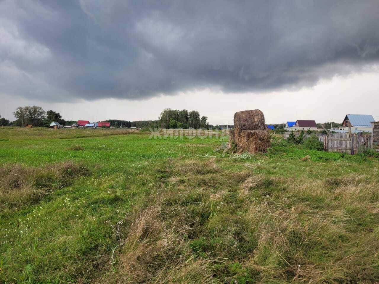 земля р-н Коченевский с Катково ул Трактовая фото 3