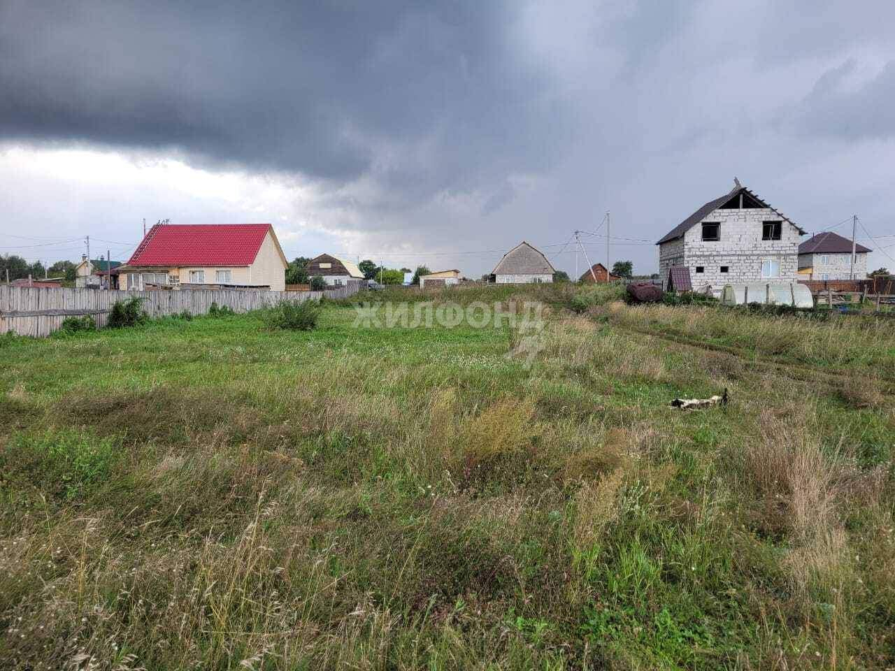 земля р-н Коченевский с Катково ул Трактовая фото 2