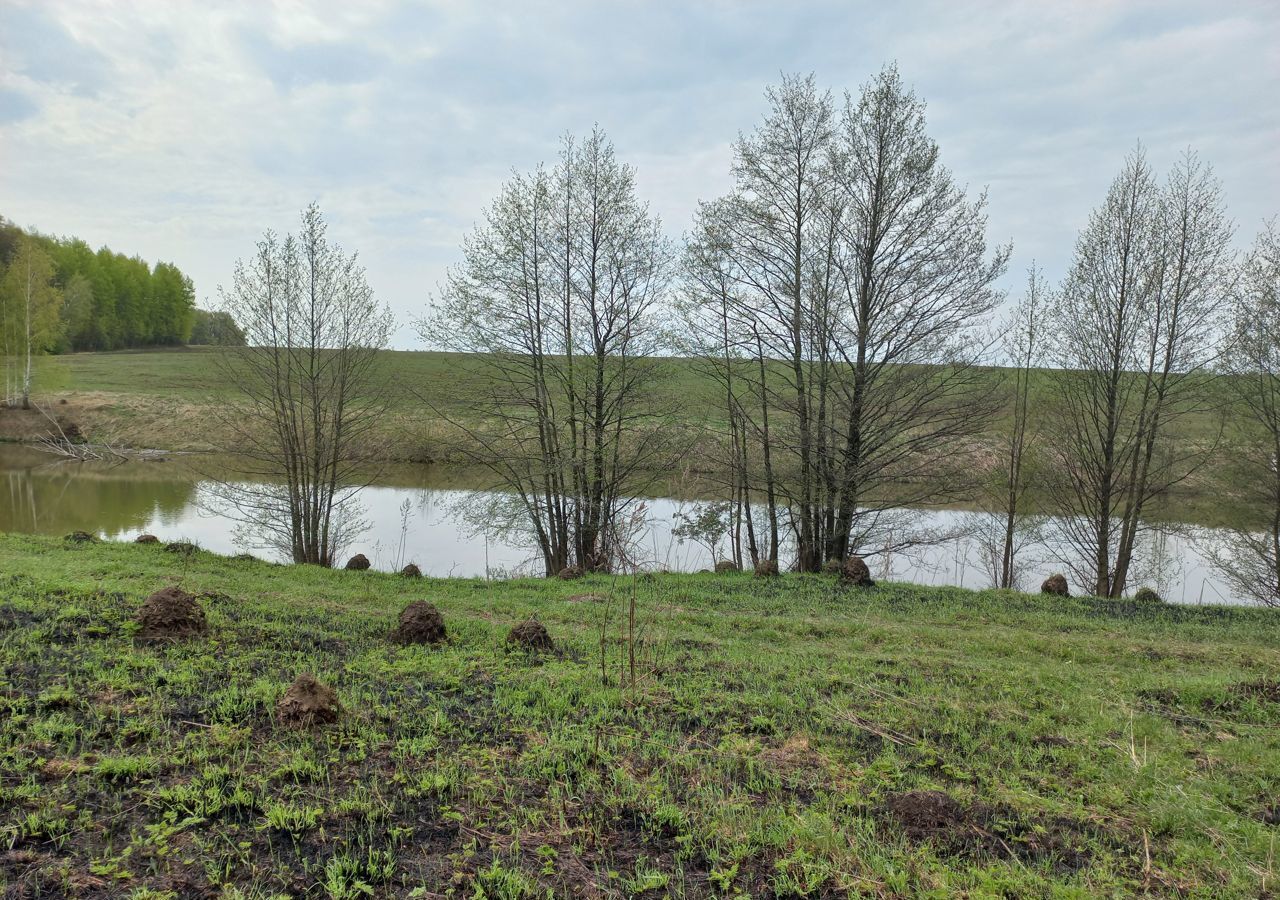 земля городской округ Кашира 101 км, д. Бузаково, Каширское шоссе фото 1