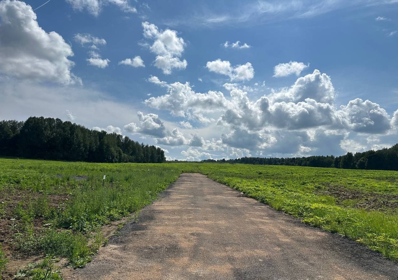 земля городской округ Клин д Опалево 68 км, Клин, Рогачёвское шоссе фото 4