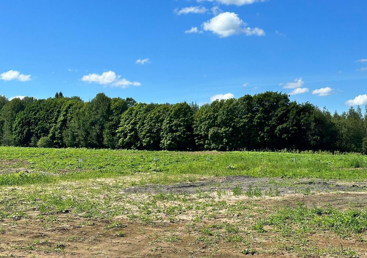 земля городской округ Клин д Опалево 68 км, Клин, Рогачёвское шоссе фото 29