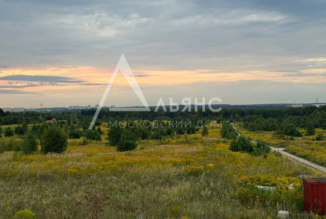 д Тинино ул Лесная фото