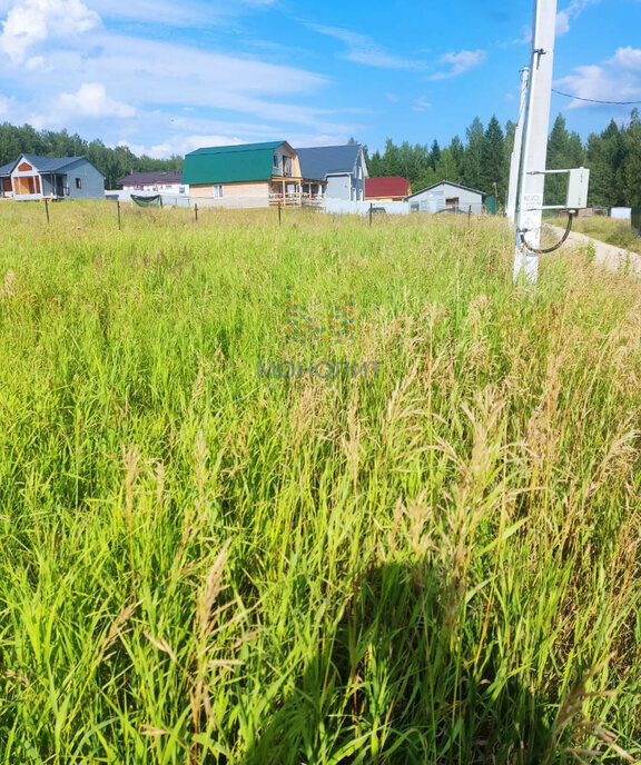 земля городской округ Сергиево-Посадский садовое некоммерческое товарищество Березняки фото 3