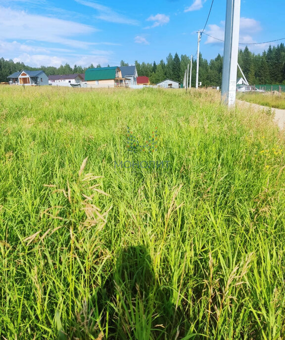 земля городской округ Сергиево-Посадский садовое некоммерческое товарищество Березняки фото 11