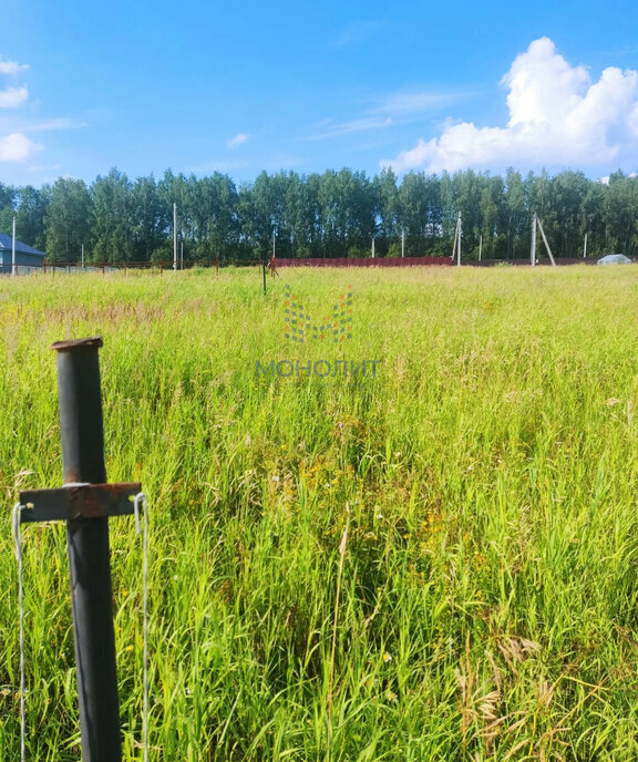 земля городской округ Сергиево-Посадский садовое некоммерческое товарищество Березняки фото 12