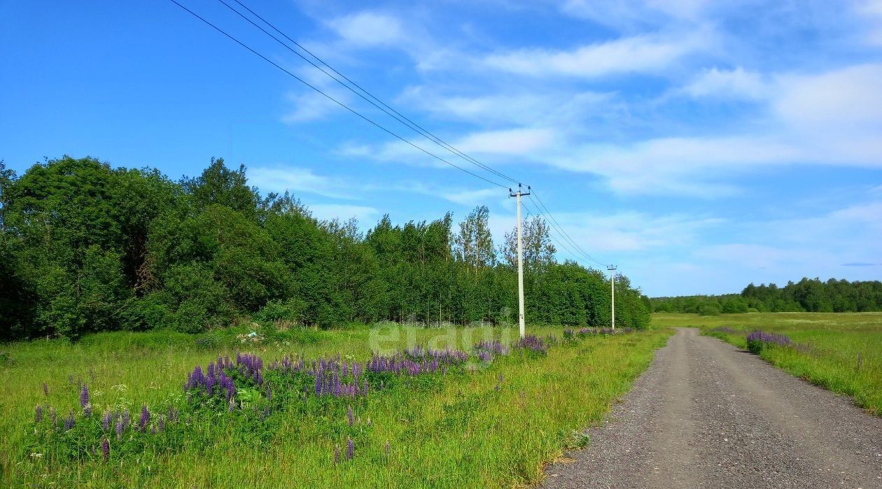 земля городской округ Шаховская д Рождествено ДНП, 9 фото 3