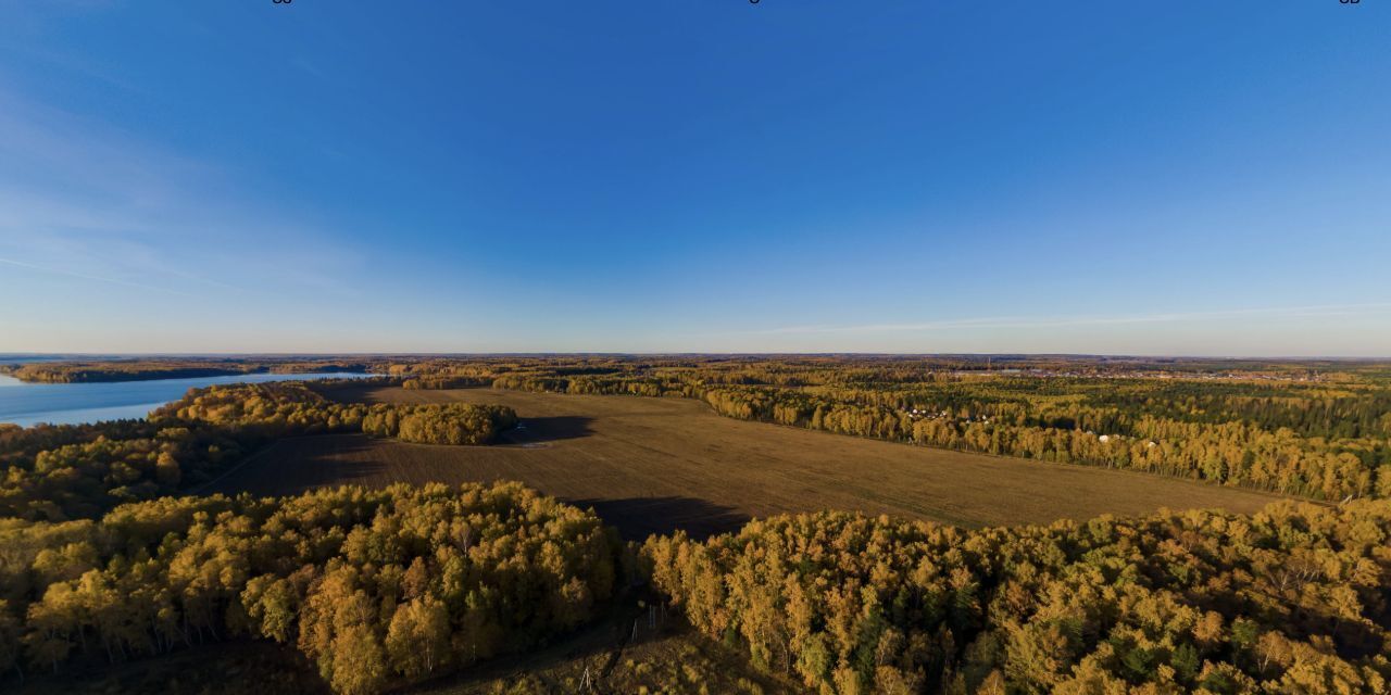 земля городской округ Пушкинский Лиса кп фото 3