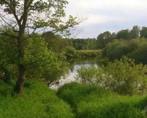 п Меловка ул Лесная Жуковка фото