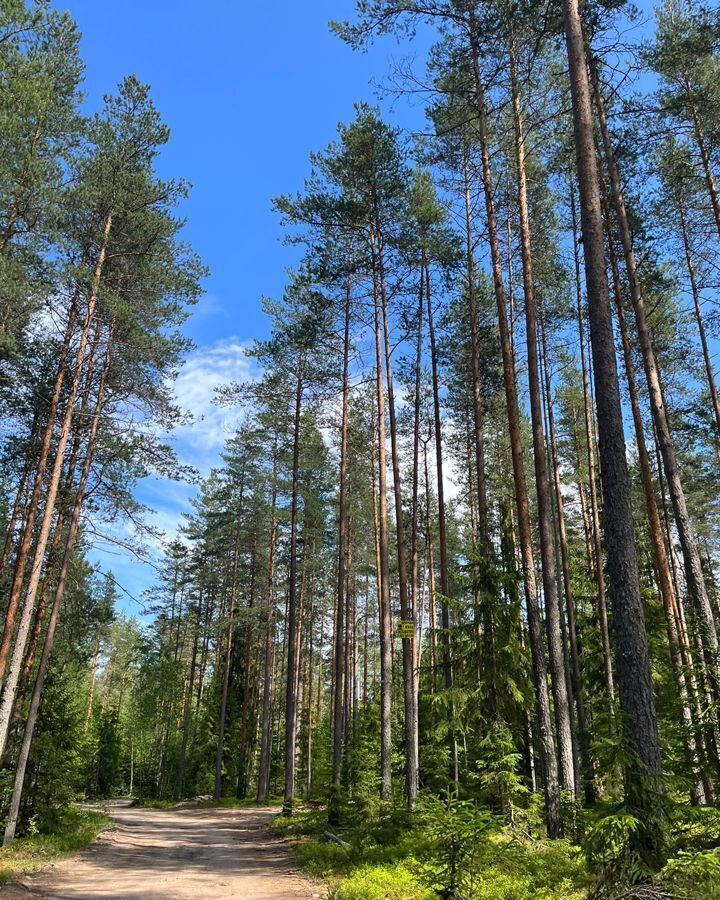 дом р-н Приозерский п Саперное снт Гвардеец Трасса Сортавала, 76 км, Ромашкинское сельское поселение фото 7