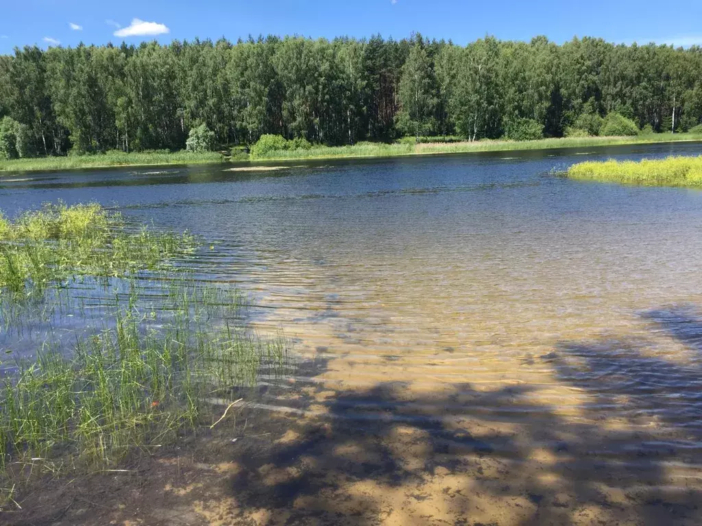 дом р-н Богородский г Богородск СТ Озёрное территория, 74, к 1 фото 49