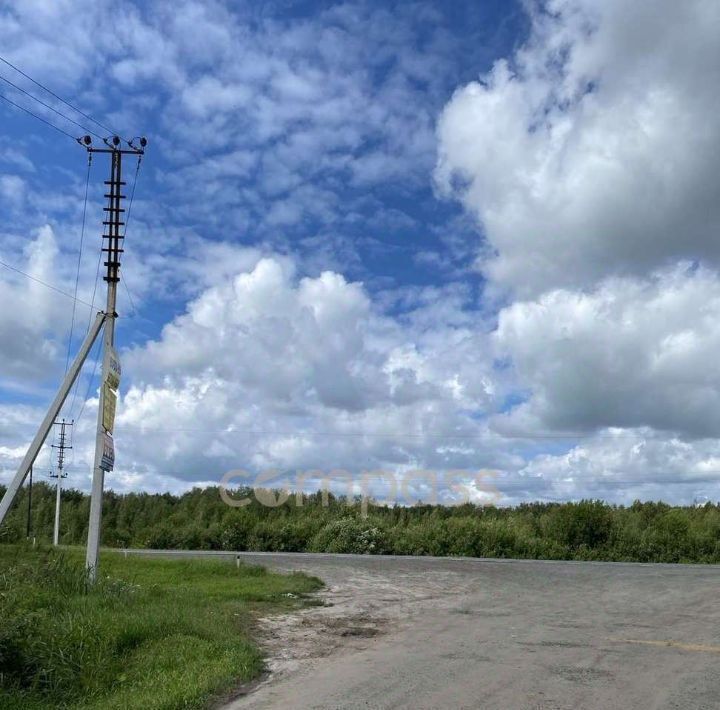 земля р-н Тюменский снт Майское ул Розовая фото 9