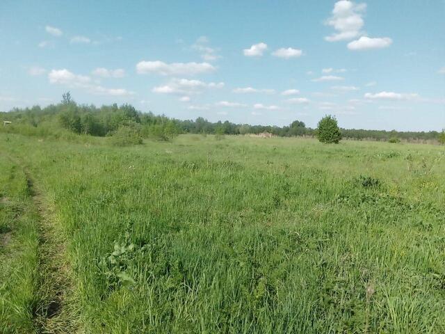 ул Центральная Слобода, Центральная улица, городской округ Клин фото