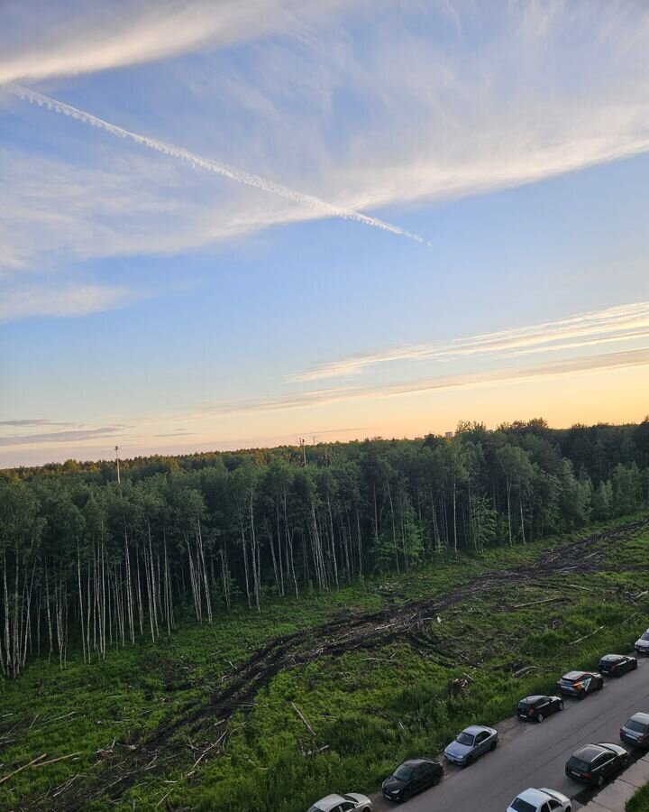 квартира г Санкт-Петербург метро Комендантский Проспект ул Планерная 87к/1 округ Юнтолово фото 11