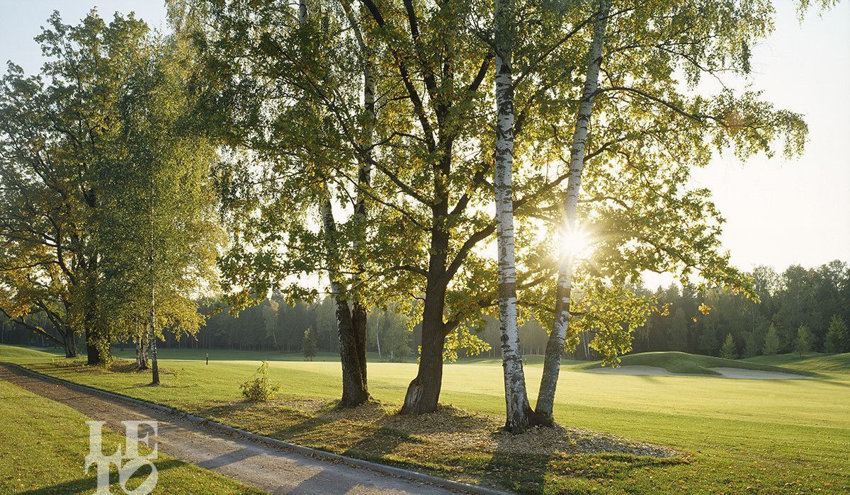 земля городской округ Мытищи д Румянцево ул Яблоневая Хлебниково фото 6