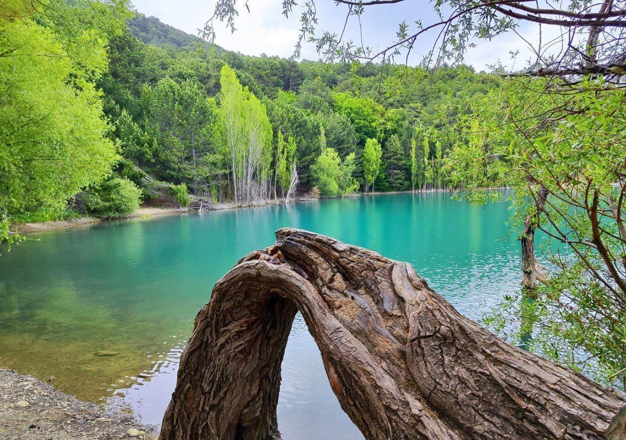 земля г Алушта с Запрудное ул Школьная фото 8