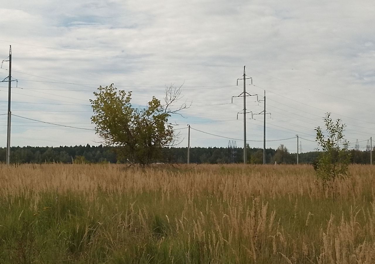 земля городской округ Воскресенск с Ачкасово ул Огородная 72 км, Воскресенск, Новорязанское шоссе фото 2