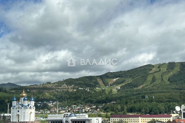 ЖК «Авангард» городской округ Южно-Сахалинск, улица Николая Смирнова, 3 фото