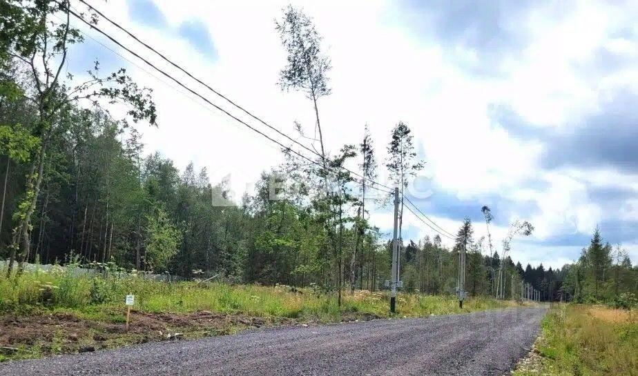 земля городской округ Наро-Фоминский Лесная Аллея кп, 56 фото 3