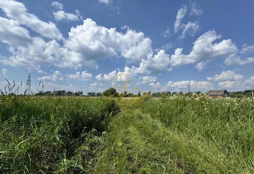 земля городской округ Клин 71 км, садовое некоммерческое товарищество Берёзка, Клин, Рогачёвское шоссе фото 2