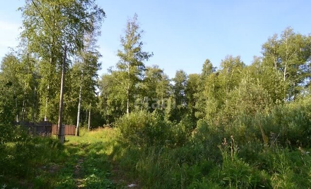 р-н Калининский снт Зауралец ул. Медиков фото