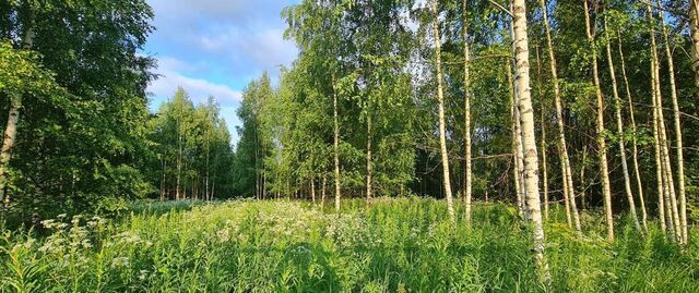 земля муниципальное образование Югское, Череповец фото