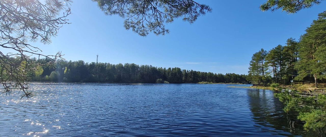 земля р-н Череповецкий д Циково муниципальное образование Югское, Череповец фото 4