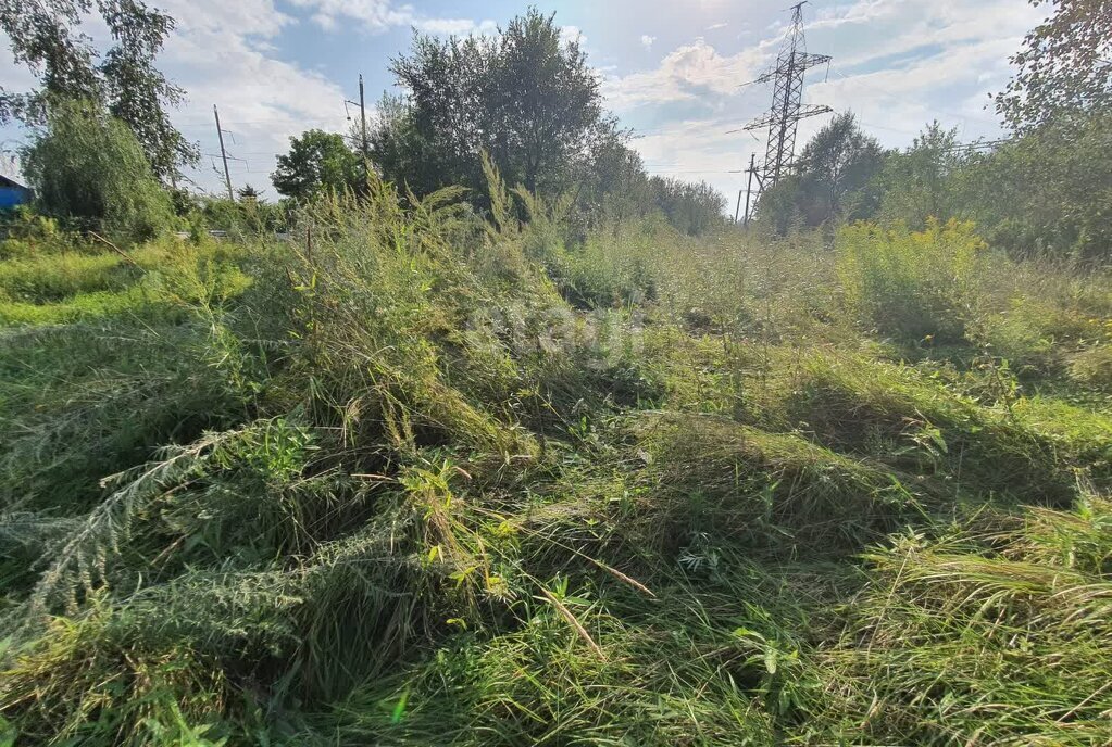 земля г Хабаровск р-н Железнодорожный ул Янтарная фото 9