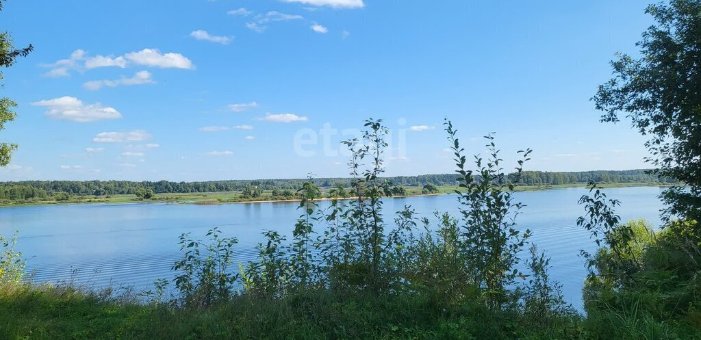 дом р-н Мышкинский с Кривец Приволжское сельское поселение фото 18