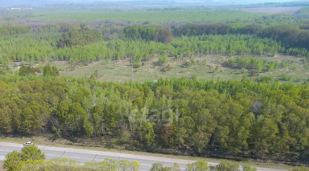 земля р-н Хабаровский с Осиновая Речка ул Амурская Осиновореченское с/пос фото 12