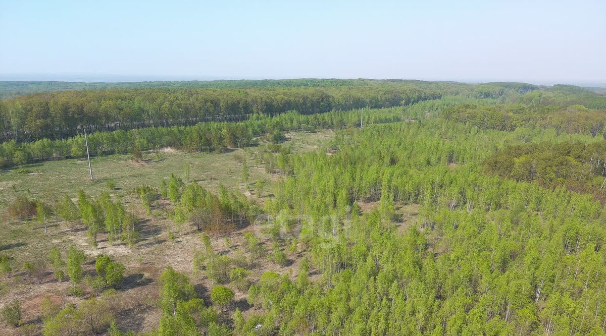 земля р-н Хабаровский с Осиновая Речка ул Амурская Осиновореченское с/пос фото 17