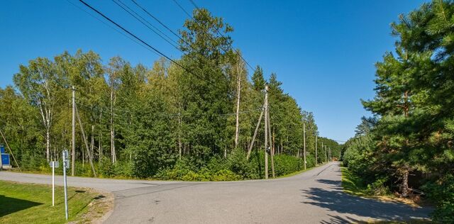 ул Большая Наличная Полянское с/пос фото