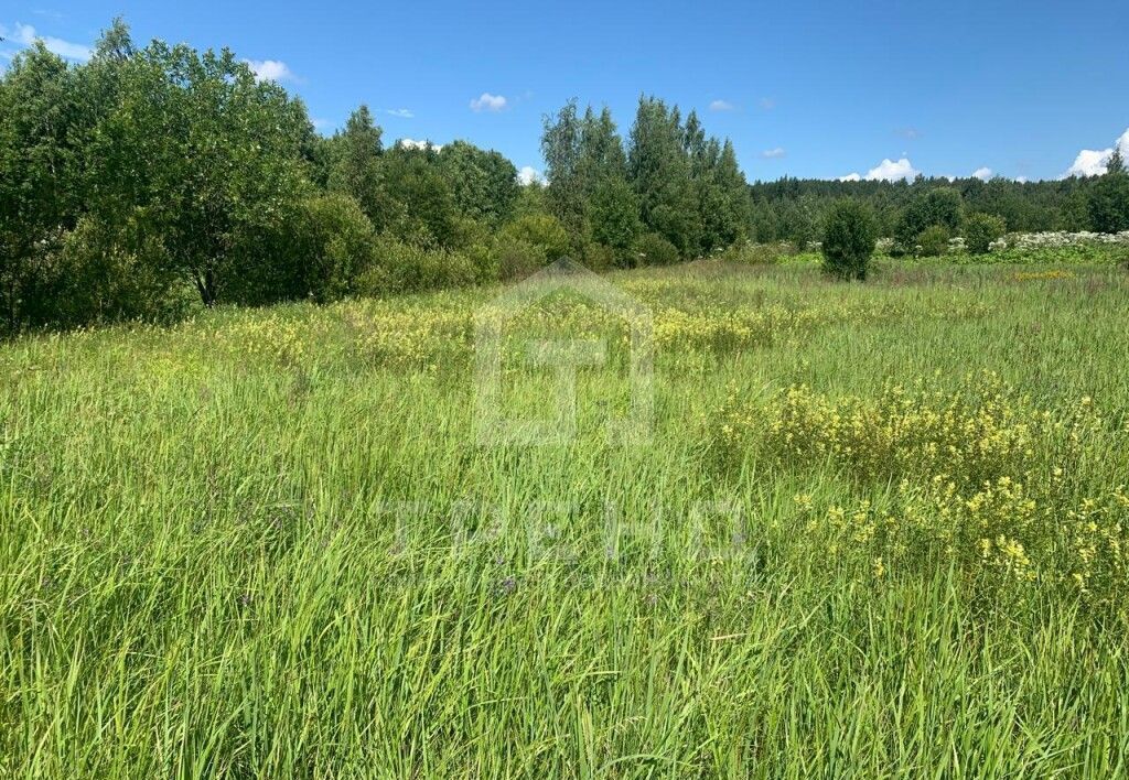 земля р-н Всеволожский п Янино-1 Дорога жизни, 1 км, городской пос. Янино-1 фото 7